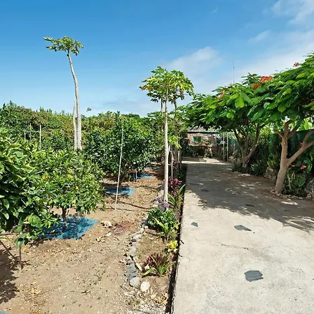 Vila Finca La Suerte Icod De Los Vinos
