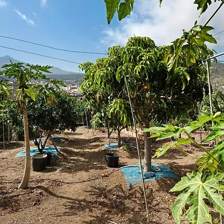 Finca La Suerte *